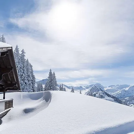 The Alpina Hotel 5*