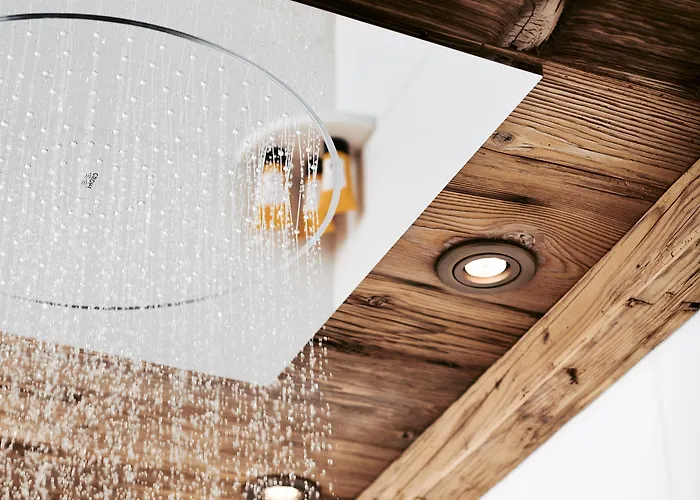 The Alpina מלון 5*