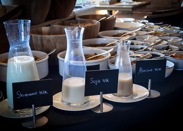 מלון The Alpina גשטאט