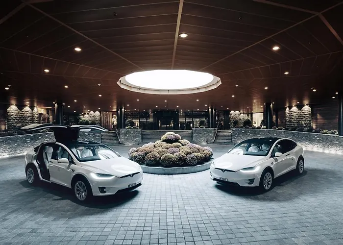 מלון The Alpina 5*